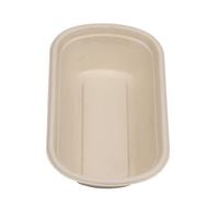 Groothandel Biologisch Afbreekbaar Wegwerp Lunchbox Rechthoek Suikerriet Bagasse Voedselcontainer Deksel Rechthoekig Patroon Fruitverpakking