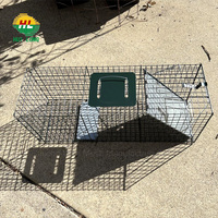 Piège-cage robuste et sans cruauté avec trous carrés et service de découpe pour écureuils, rats et petits animaux, construction en treillis de fer soudé
