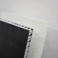 Panneau en nid d'abeille en fibre de verre haute performance, panneau composite en fibre de verre résistant aux intempéries, panneau sandwich pour pont de navire, marine