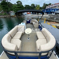 Bateau ponton de luxe en aluminium de 27 pieds/8,2 m pour la pêche sportive, avec moteur hors-bord diesel et sièges, ensemble complet à vendre