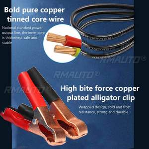 AUTSOME Cargador de Batería Eléctrico Universal de 12V/24V para Automóviles, Camiones, Barcos y Motocicletas - Product Image 5