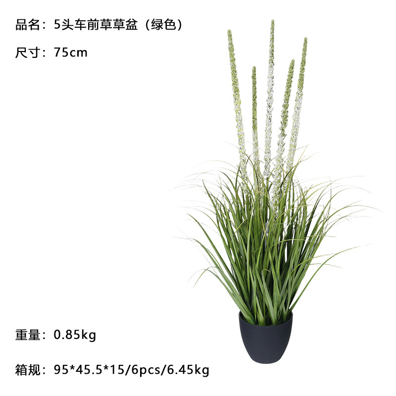 กระถางต้นกล้วย 5 หัว ขนาด 75 ซม. (สีเขียว)