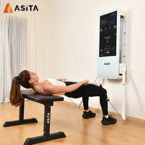 ASITA Smart Home Gym Fitness Equipment Multi-Function Digital Weight <b>Trainer</b> for Home Use Wall Mounted Strength Training ASITA H - Product Image 3