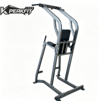 BH1068 Estación Comercial de Dominadas y Flexiones, Equipo de Gimnasio Serie Hammer, Máquina de Dominadas y Flexiones para Entrenamiento de Fuerza de la Parte Superior del Cuerpo