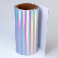 Film de transfert thermique holographique argenté NCRGB écologique 30,5 cm, adhésif souple, facile à découper pour traceur et t-shirts