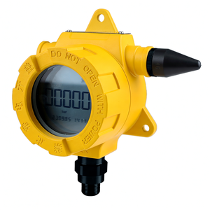 Transmisor de Presión Inalámbrico a Prueba de Explosiones GPT2451 de China, Modo 4G NB-IoT - Product Image 1