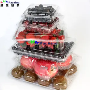CHK包装批发透明塑料水果蛤壳苹果盒，带多个穿孔