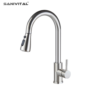 Grifo de Cocina SANIVITAL Moderno 2 en 1 Extraíble de Acero Inoxidable SUS 304 con Rociador Extraíble y Agua Fría y Caliente - Product Image 1