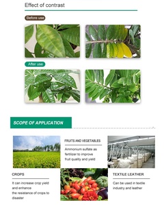 ราคาปุ๋ยแอมโมเนียมซัลเฟตต่อตันสำหรับการเกษตร <span class=keywords><strong>Nh4</strong></span> 2So4 ราคาถูก ปุ๋ยเม็ด 20.5 ซานตง คริสตัล บรรจุถุง 50 กก. - Product Image 6