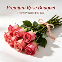 Bourgeons et pétales de rose séchés Rosa Rugosa – Matière première pour thé floral, pâtisserie, dessert, arôme alimentaire et production de parfum