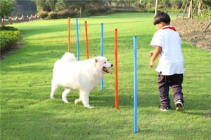 Pet seguro Barra de salto agilidad dispositivo equipo de entrenamiento perro obstáculo perro agilidad equipo - Product Image 4