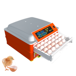 Wonegg HHD 138 brooder trong gia cầm trang trại Pin gà brooder cho chim Anh cắm - Product Image 3
