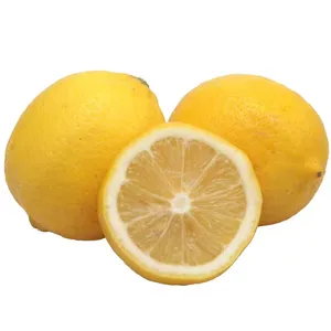 Fresh citrus fruits freshly picked yellow lemon/lime