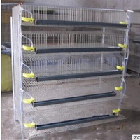 Caille — cage de caille avec batterie, type H, meilleure qualité