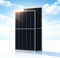Module solaire bifacial double vitrage de type N DHM66D50-TP 710W, 210 mm, 132 cellules, panneau PV transparent pour système d'énergie solaire