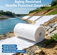 Géotextile aiguilleté résistant au vieillissement pour la protection des pentes de rive