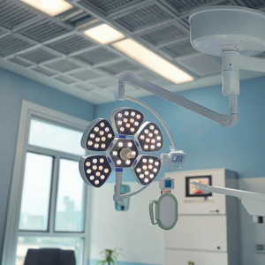 Surgical <strong>Shadowless</strong> Light LED Round Head Wall Mounted Ceiling Mobile Power Hospital Dental Examination Light <strong>Shadowless</strong> Light - Product Image 2