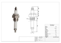 Capteur de niveau d'eau G1/2 à double électrode en acier inoxydable 304 316 Sonde de niveau de liquide pour chaudières et générateurs de vapeur