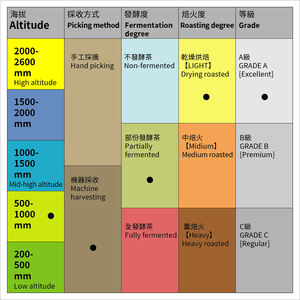 ชาจินซวนไต้หวันเกรดพรีเมียม ชาภูเขาสูง ไม่ผ่านการคั่ว รุ่นพรีเมียม แบบใบชา 600 กรัม - Product Image 2