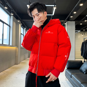 Abrigo cálido de invierno con capucha impermeable doble cremallera pareja bolsillo chaquetas de plumón Unisex - Product Image 1