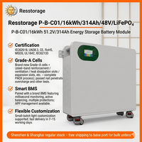 Système de stockage d'énergie domestique portable 51.2V 314Ah 16.08kWh avec batterie LiFePO4 et roulettes pour une mobilité aisée, communication CAN