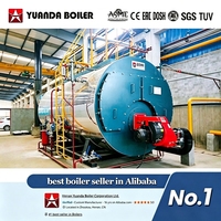 Chaudière à vapeur industrielle horizontale à tubes de feu automatique 300 CV basse pression gaz/diesel/GPL haute efficacité pour le durcissement du béton