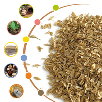 Coques de riz de haute qualité pour le rembourrage de coussins, particules de coques de riz beiges pour la fermentation, les coques de riz peuvent ajuster le pH du sol