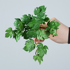Feuille de Monstera Artificielle Mengjie 10cm-30cm en Caoutchouc Souple, Plante Suspendue pour Décoration Intérieure et Extérieure - Product Image 3