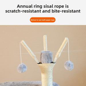 Gatto classico carta Scratcher <span class=keywords><strong>TV</strong></span> cartone gatto gratta Pad giocattolo per cani e gatti - Product Image 5