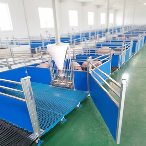 Équipement d'élevage porcin automatique : Corral <span class=keywords><strong>de</strong></span> sevrage pour porcelets après la période <span class=keywords><strong>de</strong></span> succion - Product Image 1