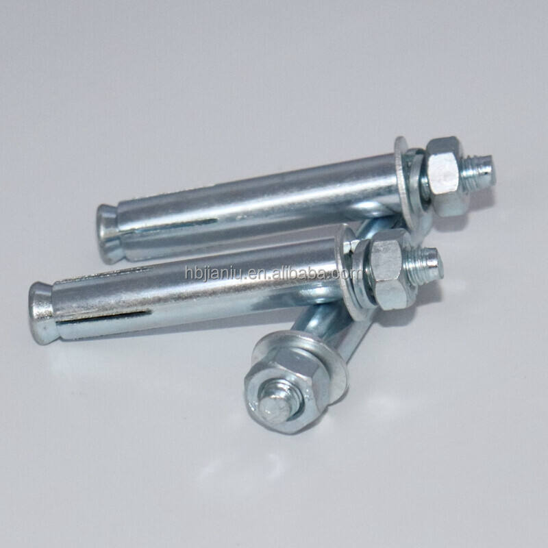 Expansive Anchor Bolt M6-M20 Galvanized Expansion Bolt