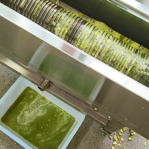 水果加工厂餐厅或食品店用商用螺旋工业榨汁机，用于葡萄奥兰芒果苹果和梨 - Product Image 5