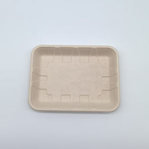 Compostable çevre yeşil biyolojik olarak parçalanabilir Bagasse meyve tepsisi tek kullanımlık gıda kağıt tepsisi - Product Image 4
