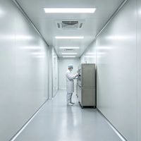 Panneau sandwich en laine de roche écologique, résistant au feu, isolation thermique, insonorisation pour entrepôt, usine, hôpital, salle blanche