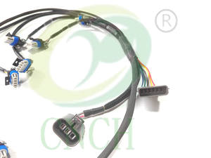 LS2 LQ9通用智能线圈转换线束，适用于RB25DET S1 PRO线束 - Product Image 4