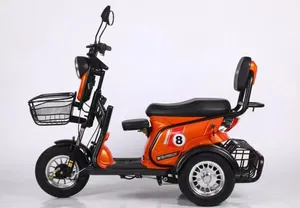 High Quality Safe Transport Southeast Asian Market 3 Wheels Other Cities Electric Tricycle 600w Motor 60v Battery