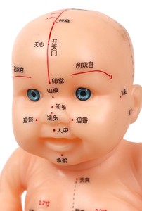 Modello Didattico di Agopuntura per Bambini, Modello di Formazione per Massaggio Tradizionale Cinese su Tutto il Corpo - Product Image 2