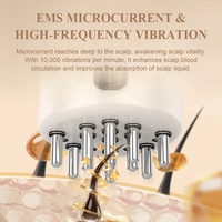 Masseur électrique du cuir chevelu, peigne, brosse, distributeur de sérum, huile liquide, peigne à lumière rouge LED, massage par vibration, applicateur d'huile pour le cuir chevelu