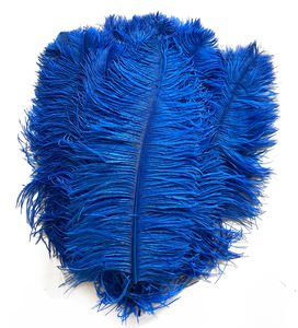 <span class=keywords><strong>ขน</strong></span><span class=keywords><strong>นก</strong></span><span class=keywords><strong>ขน</strong></span><span class=keywords><strong>นก</strong></span>สีขาวขนาดใหญ่35-40ซม. สำหรับประดับเทศกาล<span class=keywords><strong>ขน</strong></span><span class=keywords><strong>นก</strong></span>กระจอกเทศสีดำสีขาวสำหรับตกแต่งงานแต่งงานบ้านแจกันงานปาร์ตี้ - Product Image 1