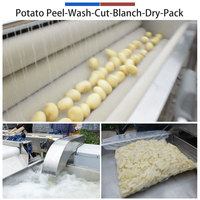 Automatische machine voor het schillen, snijden, blancheren, drogen en verpakken van rauwe fruit- en groentefrietjes/chips met hoge capaciteit, food grade.