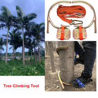 Outil d'escalade d'arbres en acier à prix direct usine, facile à utiliser, pour l'escalade des arbres à noix de bétel et de cocotiers