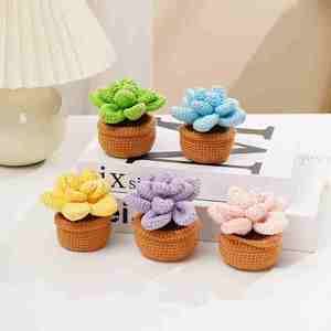 Kit de plantes succulentes en pot au crochet LINDOJUNI DIY, ornement en fil fait main avec vidéo tutorielle en <span class=keywords><strong>anglais</strong></span> - Product Image 6