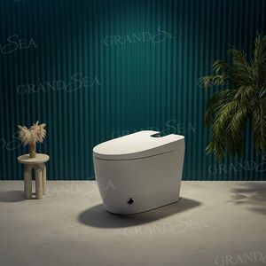 Распродажа, недорогой умный туалет для ванной комнаты - Product Image 6