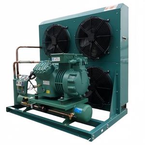 Hoge Kwaliteit Aangepaste R404a Koude Kamer Energiebesparende Outdoor Vriezer Loopkoeler R290/380V Motor Kern Condensatie Apparaat - Product Image 5