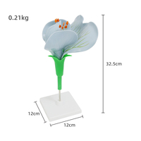 Modelo de flor de guisante, estructura de planta, educación, biología, modelo de enseñanza, disección de ovario extraíble, planta dicotiledónea