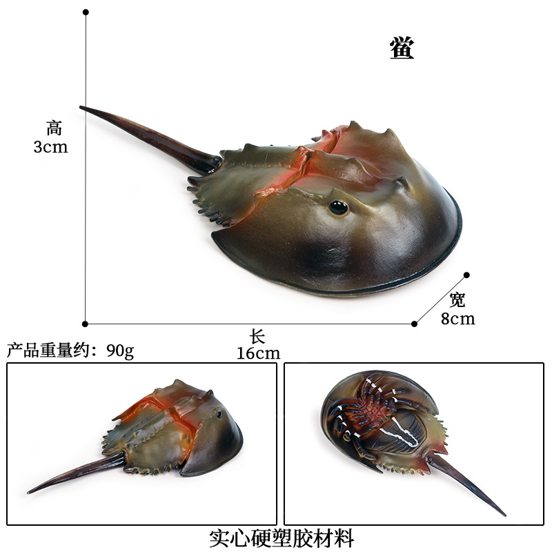 M-1073 Verde Limulus sinensis