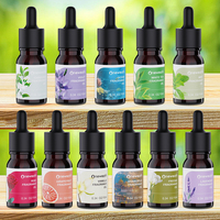 Ensemble d'huiles essentielles 100% pures et naturelles, qualité supérieure, écologiques, 10 ml, huile pour diffuseur à bâtonnets, 11 parfums variés, OEM/ODM