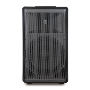 Amplificador de Audio profesional para el hogar de 12 pulgadas, altavoces de 100W para estudio de música, fiesta, DJ y caja de altavoz de Karaoke - Product Image 1