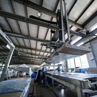 Chauffe-eau solaire à plaques plates antigel 300L, double collecteur à revêtement bleu, système pressurisé au glycol, économie d'énergie, européen