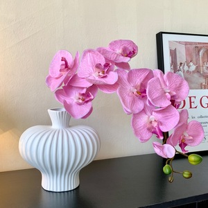 Orchidée Phalaenopsis Artificielle Muyu Chronicles, Branche Unique, Fleur en Soie pour Décoration de Salon, Entrée, Mariage - Product Image 4